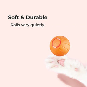 Pet Ball (Special Edition)